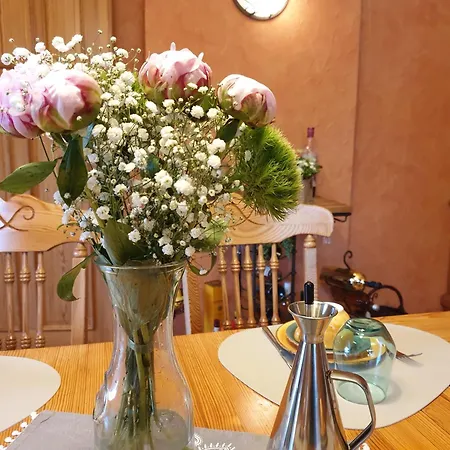 Max بيت ضيافة سنفتنبرغ