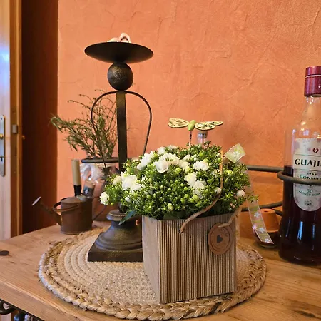 Max سنفتنبرغ