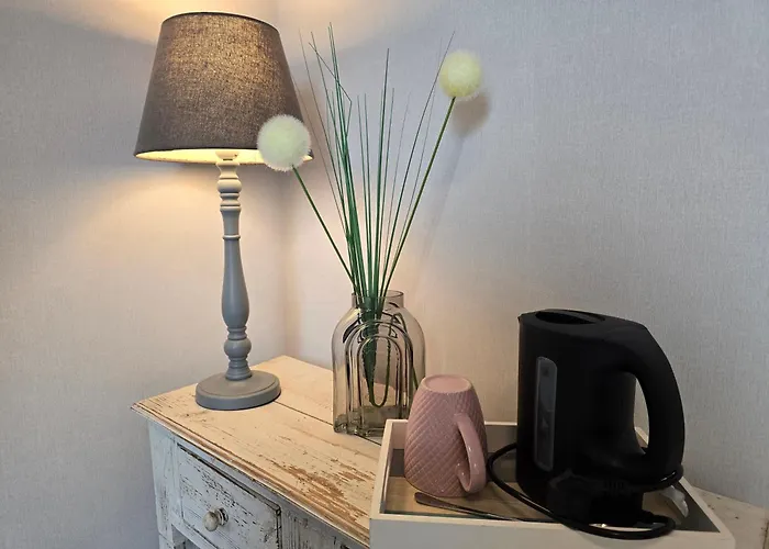 بيت ضيافة Max 3*