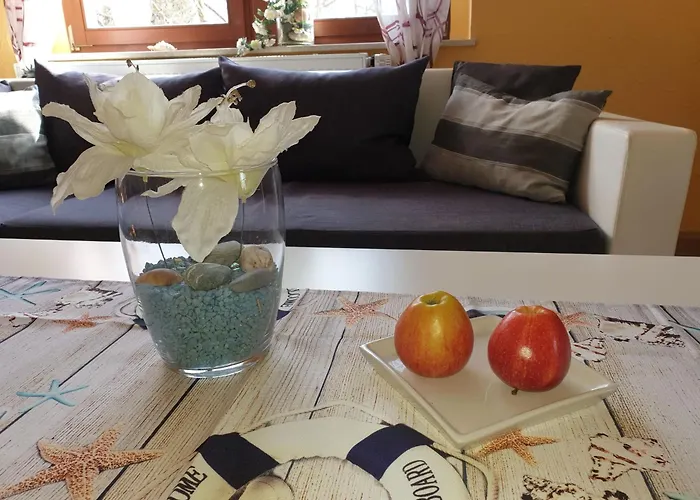 Max سنفتنبرغ